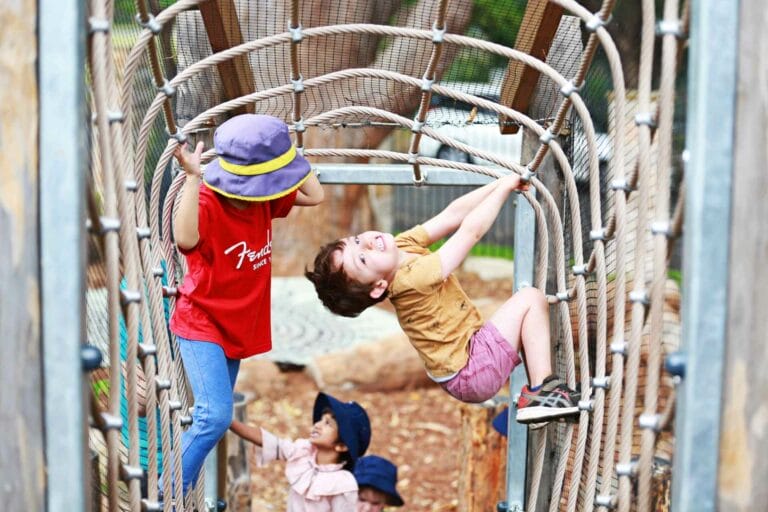 Why your children need healthy risky play experiences